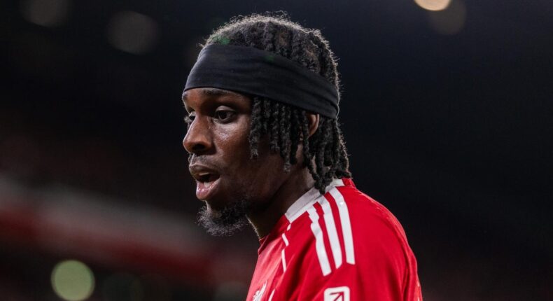 foto slider headline