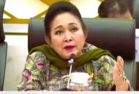 Truk Kayu Ilegal Melesat Usai Banjir, Ini Bikin Ejekan Warga

