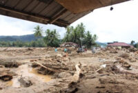 Tumpang Tindih Korupsi, Perusakan Hutan dan Bencana di Sumatera

