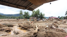 Tumpang Tindih Korupsi, Perusakan Hutan dan Bencana di Sumatera

