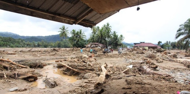 Tumpang Tindih Korupsi, Perusakan Hutan dan Bencana di Sumatera

