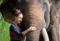 Video AI Satwa Liar Menipu Jutaan Orang dan Membahayakan Hewan Asli

