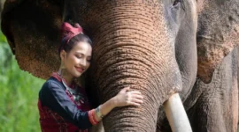 Video AI Satwa Liar Menipu Jutaan Orang dan Membahayakan Hewan Asli

