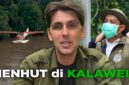 Viral Aktivis Kalaweit Akhirnya Ungkap 9 Tahun Diabaikan, Ditekan, dan Dilarang Posting oleh Kementerian Kehutanan

