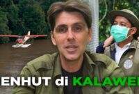 Viral Aktivis Kalaweit Akhirnya Ungkap 9 Tahun Diabaikan, Ditekan, dan Dilarang Posting oleh Kementerian Kehutanan

