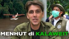 Viral Aktivis Kalaweit Akhirnya Ungkap 9 Tahun Diabaikan, Ditekan, dan Dilarang Posting oleh Kementerian Kehutanan