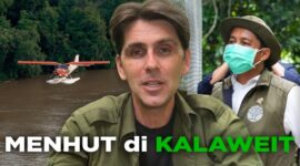 Viral Aktivis Kalaweit Akhirnya Ungkap 9 Tahun Diabaikan, Ditekan, dan Dilarang Posting oleh Kementerian Kehutanan

