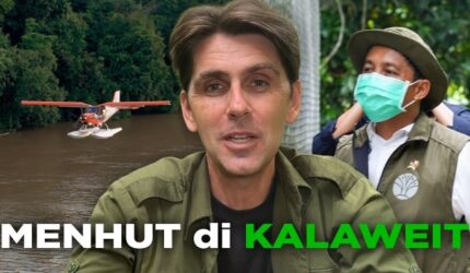 Viral Aktivis Kalaweit Akhirnya Ungkap 9 Tahun Diabaikan, Ditekan, dan Dilarang Posting oleh Kementerian Kehutanan