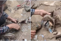 Viral Tabungan Pasutri Haji untuk Korban Banjir Ditemukan Utuh di Tengah Lumpur

