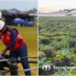 Viral Usai Kebakaran Gedung, Terra Drone Tracks Aktif Memetakan Lahan Sawit di Sumatera


