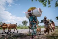 Week in Pictures: Dari bentrokan Kamboja-Thailand hingga protes di Yunani | Berita Gaza