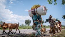 Week in Pictures: Dari bentrokan Kamboja-Thailand hingga protes di Yunani | Berita Gaza