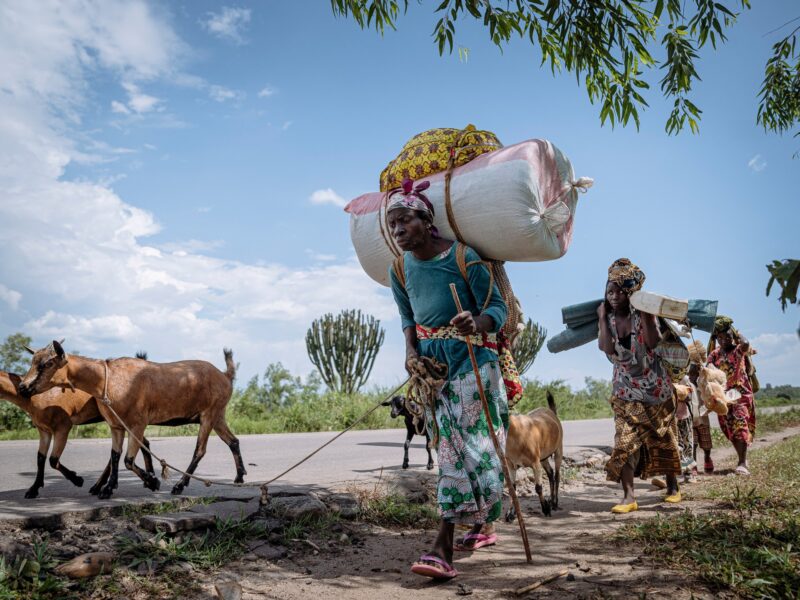 Week in Pictures: Dari bentrokan Kamboja-Thailand hingga protes di Yunani | Berita Gaza

