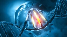 “Zona Bahaya” DNA yang Baru Ditemukan Dapat Mengubah Pengetahuan Kita Tentang Penyakit Manusia

